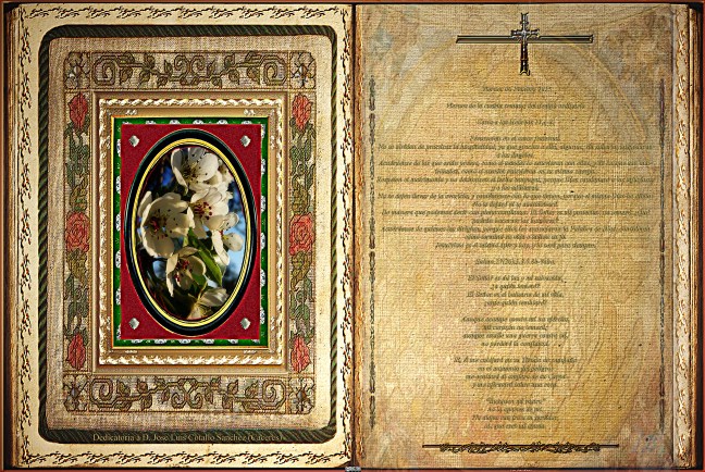 Jose Antonio Cotallo López