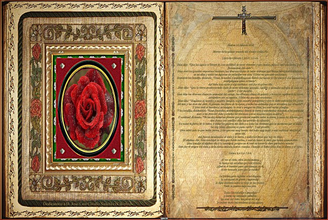 Jose Antonio Cotallo López