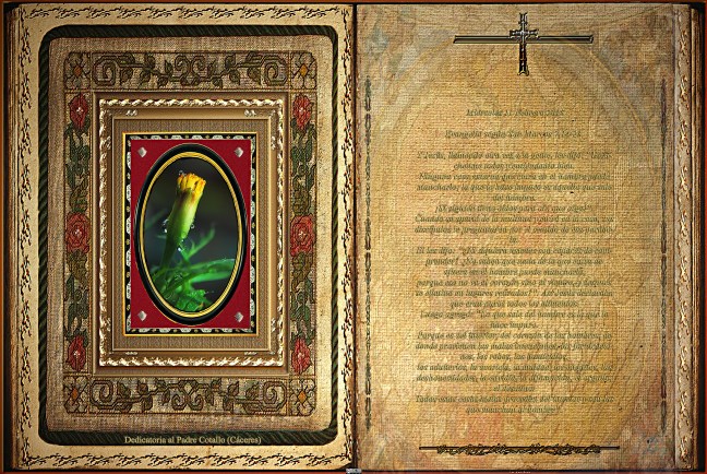 Jose Antonio Cotallo López