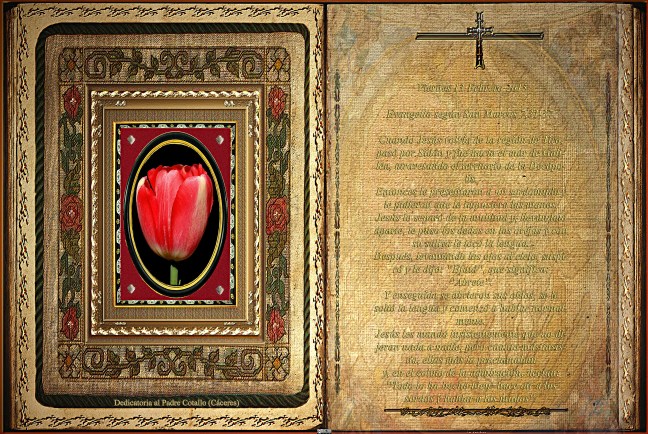 Jose Antonio Cotallo López