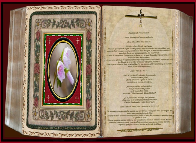 Jose Antonio Cotallo López