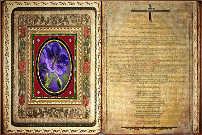 Jose Antonio Cotallo López