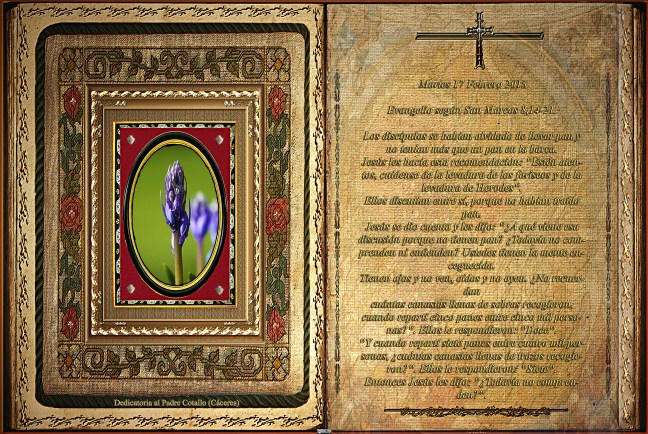 Jose Antonio Cotallo López