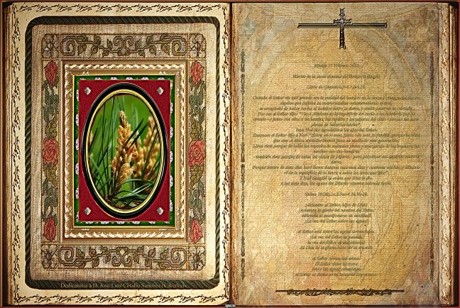 Jose Antonio Cotallo López