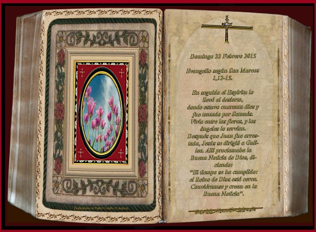 Jose Antonio Cotallo López