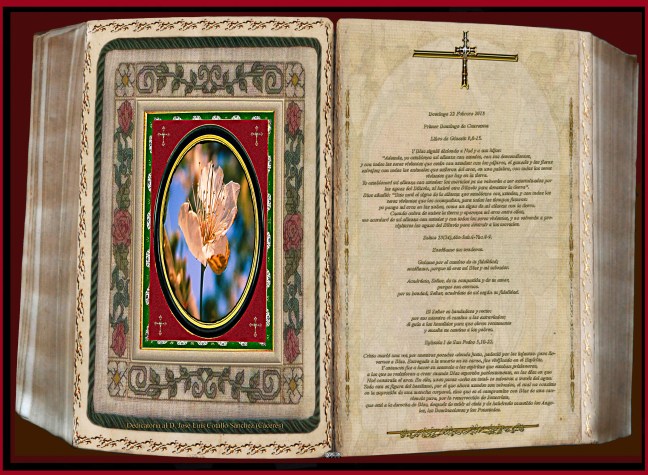 Jose Antonio Cotallo López