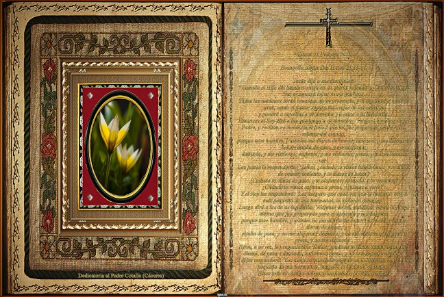 Jose Antonio Cotallo López