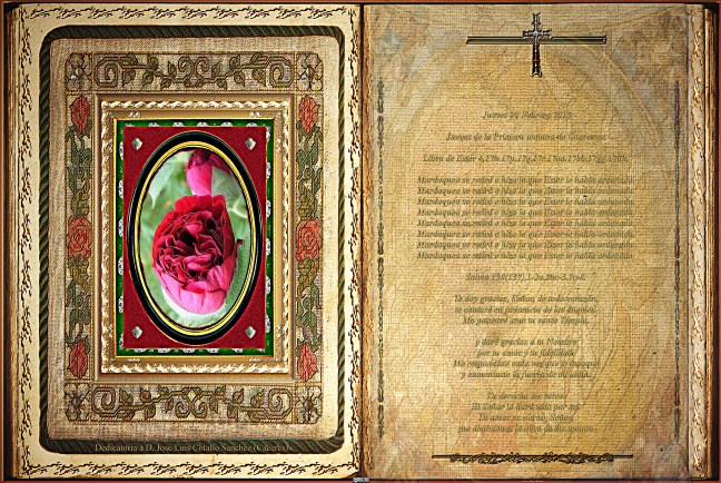 Jose Antonio Cotallo López