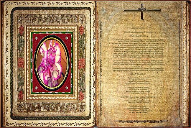 Jose Antonio Cotallo López