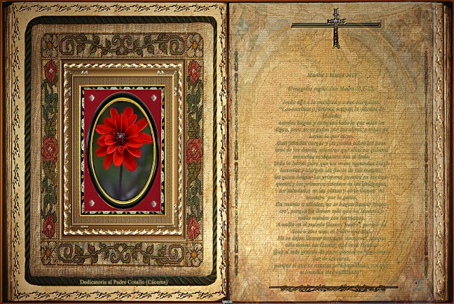 Jose Antonio Cotallo López