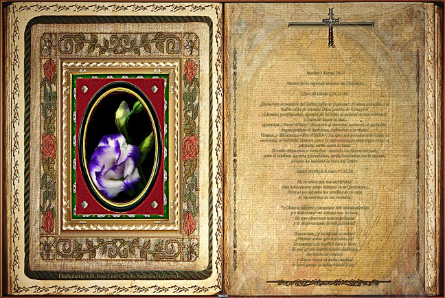 Jose Antonio Cotallo López