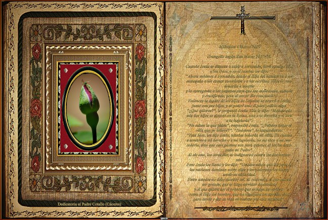  Jose Antonio Cotallo López