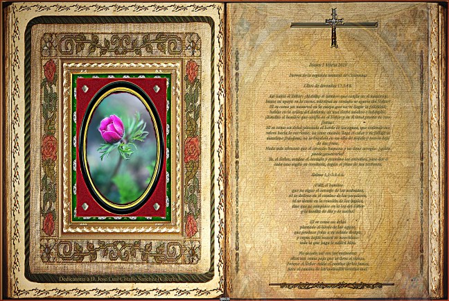 Jose Antonio Cotallo López