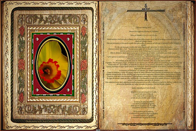 Jose Antonio Cotallo López