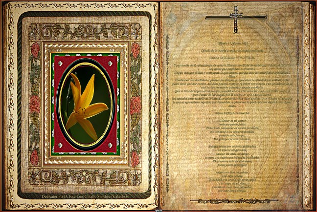 Jose Antonio Cotallo López