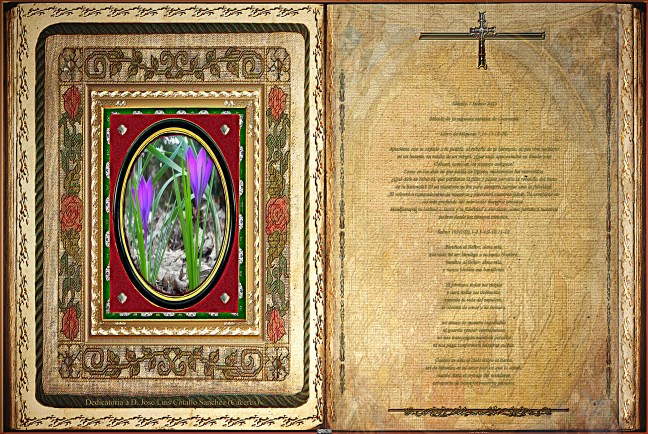 Jose Antonio Cotallo López