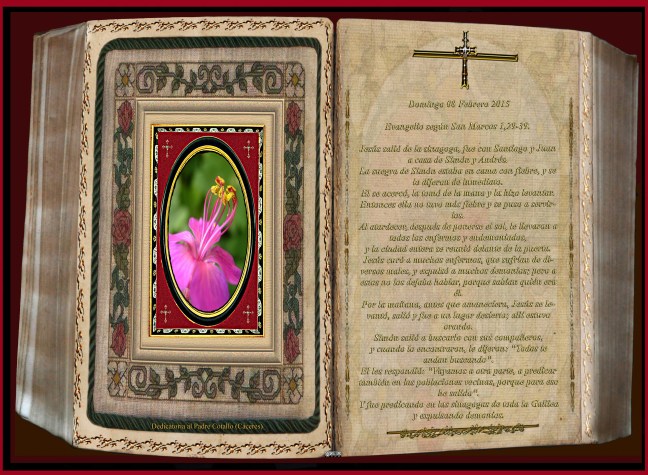 Jose Antonio Cotallo @3