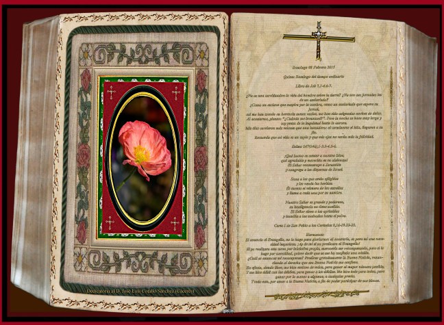 Jose Antonio Cotallo López