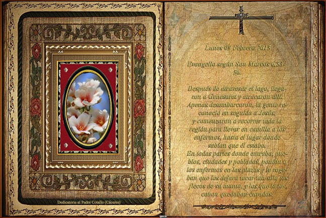 Jose Antonio Cotallo López