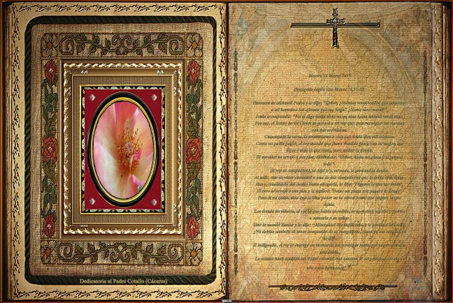  Jose Antonio Cotallo López