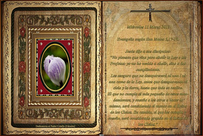 Jose Antonio Cotallo López