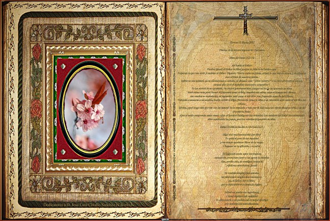 Jose Antonio Cotallo López