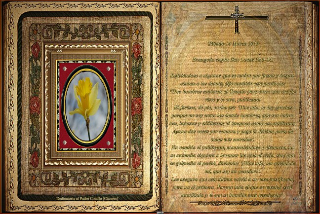 Jose Antonio Cotallo López