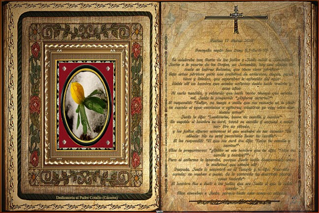 Jose Antonio Cotallo López