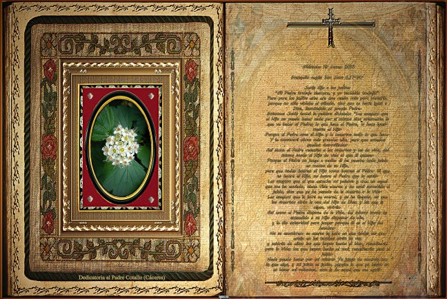 Jose Antonio Cotallo López