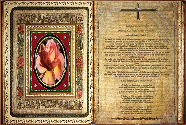 Jose Antonio Cotallo López