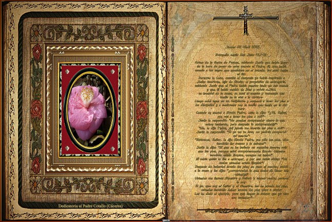 Jose Antonio Cotallo López