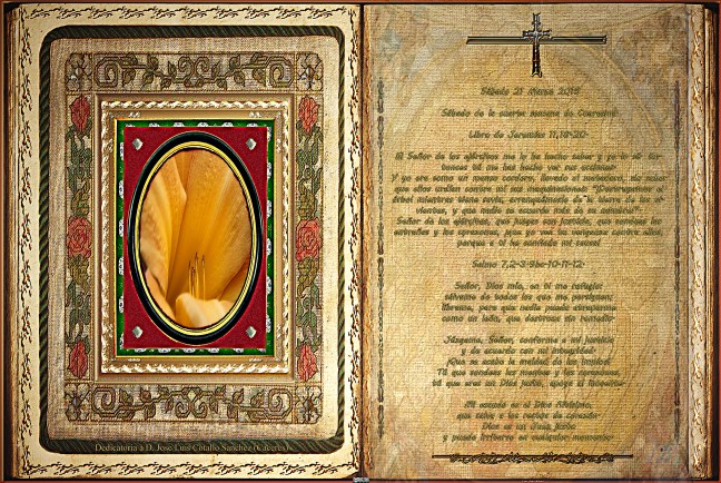 Jose Antonio Cotallo López