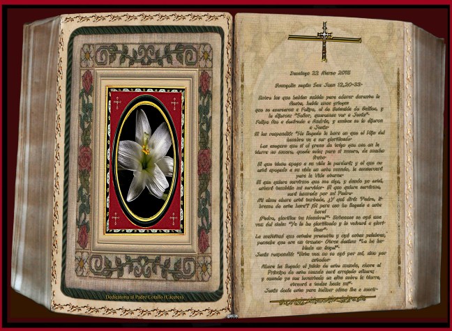 Jose Antonio Cotallo López