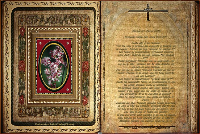 Jose Antonio Cotallo López