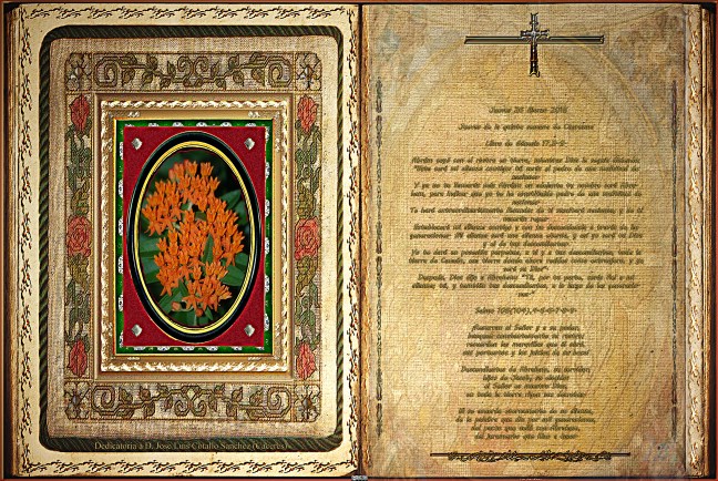 Jose Antonio Cotallo López