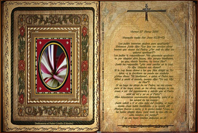  Jose Antonio Cotallo López