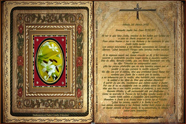 Jose Antonio Cotallo López