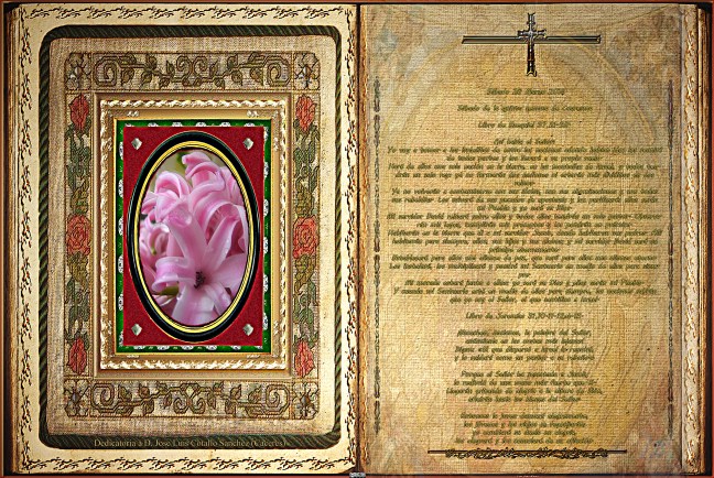 Jose Antonio Cotallo López