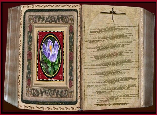 Jose Antonio Cotallo López