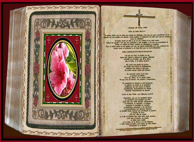 Jose Antonio Cotallo López