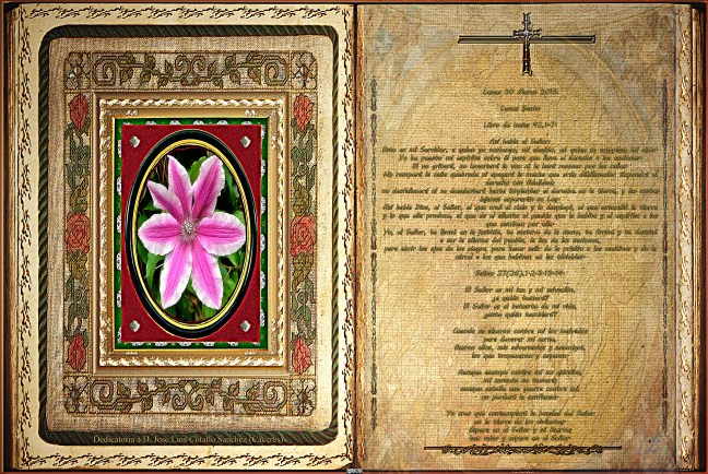 Jose Antonio Cotallo López