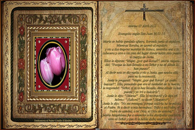 Jose Antonio Cotallo López