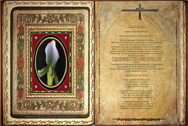 Jose Antonio Cotallo López