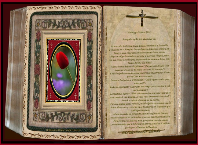 Jose Antonio Cotallo López