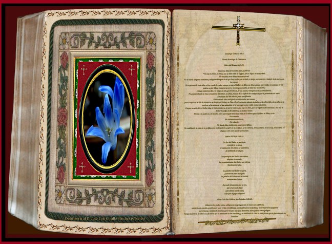 Jose Antonio Cotallo López