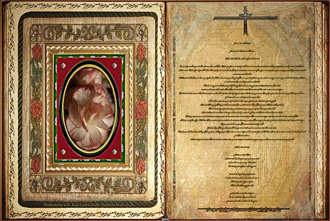 Jose Antonio Cotallo López