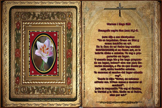  Jose Antonio Cotallo López