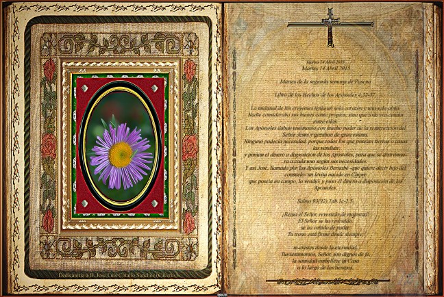 Jose Antonio Cotallo López