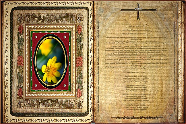 Jose Antonio Cotallo López