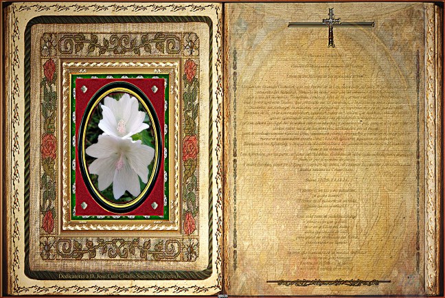 Jose Antonio Cotallo López   